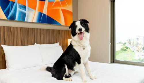 Oceanfront King Room with Sofa Bed and View