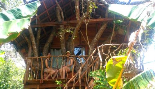 Inn on the Tree House 