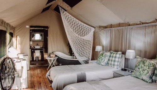 Deluxe Double or Twin Room with Mountain View