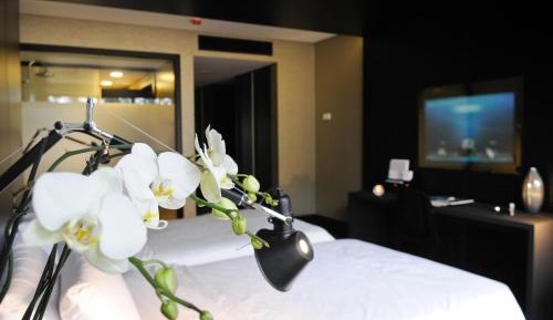 Double or Twin Room with Garden View