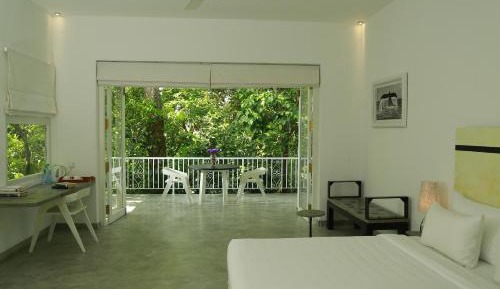Deluxe Room with Jungle view
