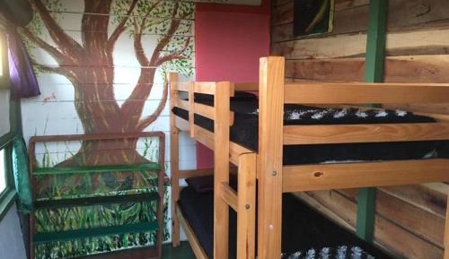 Mixed Dormitory Room