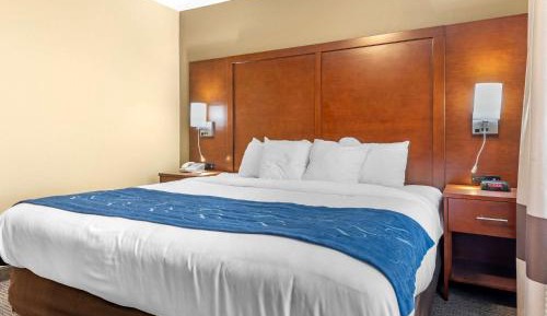 King Suite with Sofa Bed - Non-Smoking