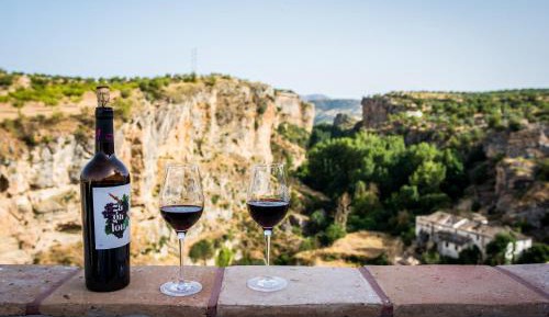 Twin Room with Terrace