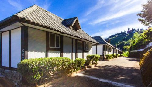 Double Room with Mountain View