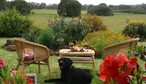 Three-Bedroom Chalet