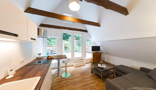 Junior Suite with Terrace