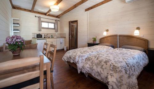 Studio with Mountain View