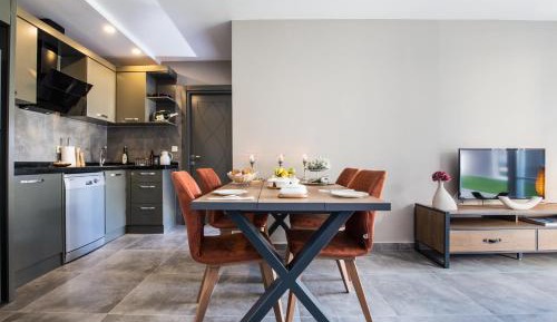 Deluxe One-Bedroom Apartment