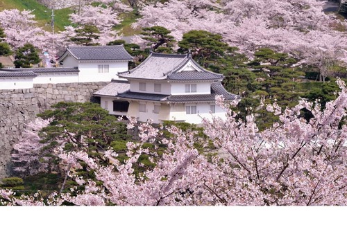 Nihommatsu House | Standard room only plan double room / Nihonmatsu Fukushima