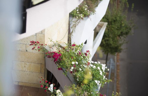 Szolnok Hotel | Semiramis Business Hotel