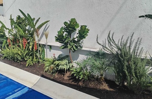 Emiliano Zapata House | LAS GEMELAS