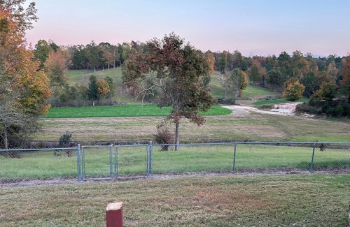 Oxford House | Charming 3-bedroom house in Oxford, MS only 18 minutes away from Ole Miss!