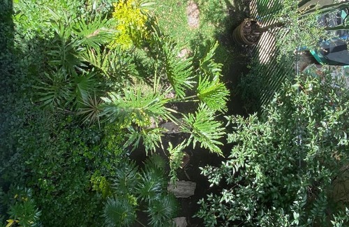 Puebla House | IDEAL HOUSE FOR GROUPS OR FAMILIES IN A HISTORIC AND WOODED AREA