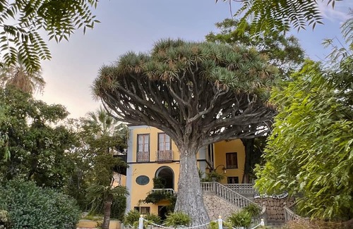 Guimar House | Buen Retiro Mansion (house of music and sound)