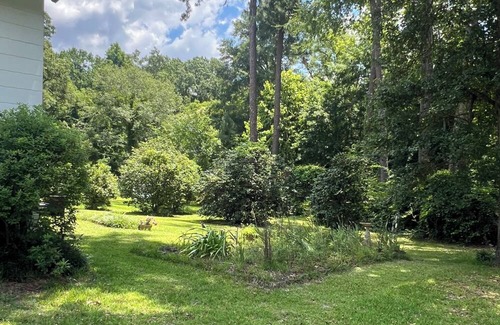 Mount Vernon House | Charming 2-bedroom house with AC and WiFi in downtown Ailey