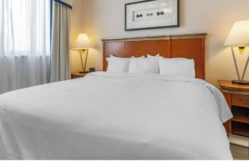 Paradise Resort | CES week, NO resort fee for 6 guests, close to Convention Ctr, shuttle&FREE WiFi