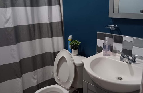 Boyette Springs Apartment | APART STUD COMODO AGRADABLE PARA ESTANCIAS CORTA O LARGA EQUIPADO CON LO BASICO