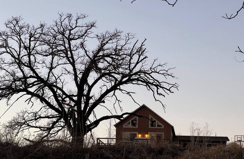 Milan Cabin | Cozy cabin on family farm. Surrounded by nature, yet close to the Quad Cities.