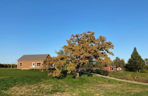 Milan Cabin | Cozy cabin on family farm. Surrounded by nature, yet close to the Quad Cities.