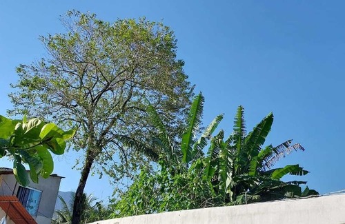 Sertao da Quina Cottage | Quarto Para Grupo até 4 Pessoas Praia da Maranduba Ubatuba Sp