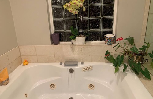 Lafayette House | Tree lined home in a Classic California Rancher to relax & sip wine pool-side