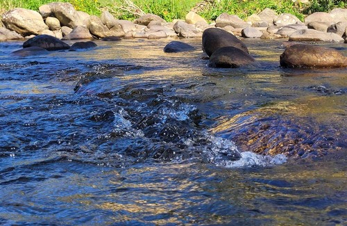 Mambucaba Cottage | Casa da Cachoeira 2, em Paraty, Somos pet Friendly