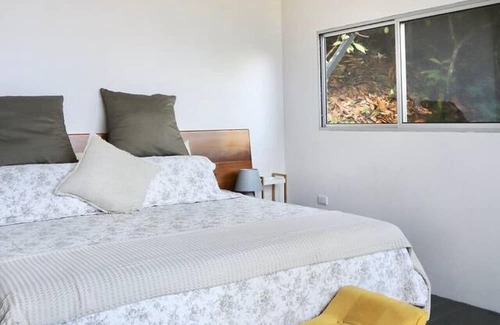 Parrita House | Experience nature,amidst nearly 900 tropical cacao trees!