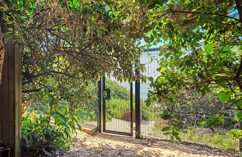 Westbrook House | Beachfront Villa - Five Bedroom House, Sleeps 10