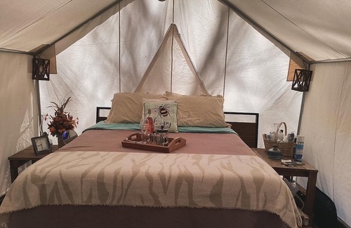 Turtletown RV Rental | Camping with a Twist