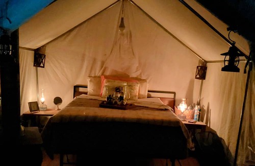 Turtletown RV Rental | Camping with a Twist