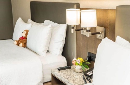 Tenderloin House | San Fran fun near Moscone Convention Center