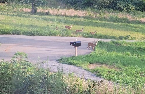 Decatur Cabin | River View Cabins Enjoy life and experience the quiet peace of eastern Tennessee
