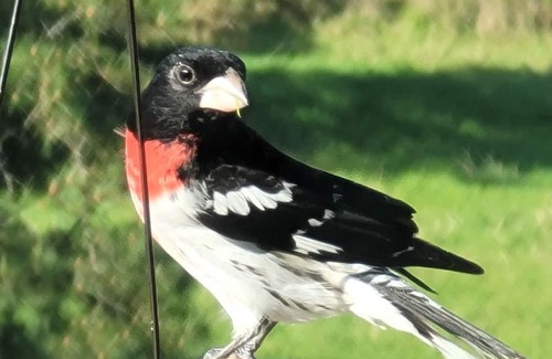 Decatur Cabin | River View Cabins Enjoy life and experience the quiet peace of eastern Tennessee