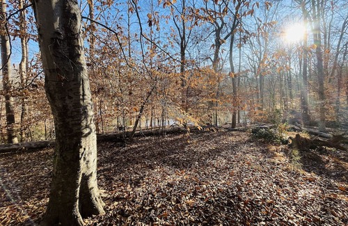 Clemmons Cottage | Escape to our cozy cottages nestled in Tanglewood Park's peaceful woods