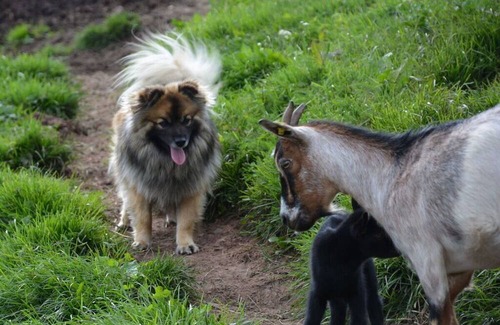 San Martino in Badia Apartment | Apartment in St.martin in thurn