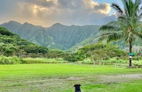 Punaluu Cabin | Majestic Cabin Stay