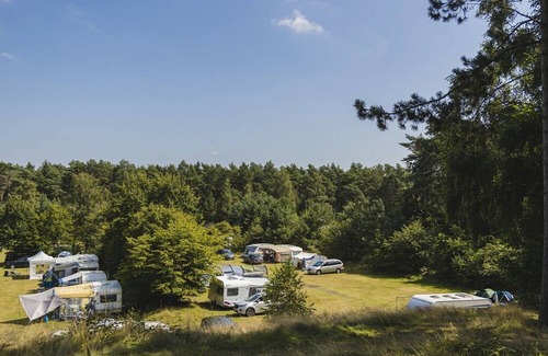 Wilsum RV Rental | Stay on a pet-free camping spot in the Wilsumer Berge!