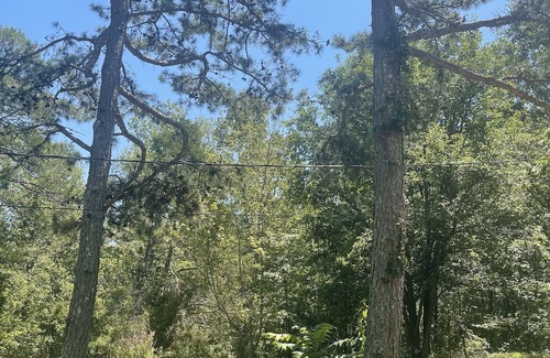 Pleasant Grove Cabin | Beautiful Ozark Mountain Cabin