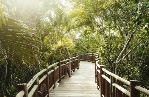 Downtown Cancun Resort | The Bliss at Vidanta Riviera Maya