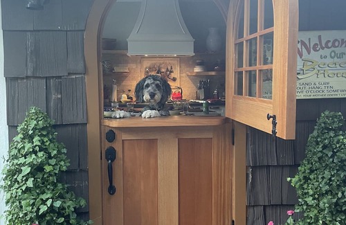 Rio del Mar Cabin | Private cabin and beach house!