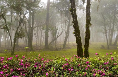 Canela House | Apto Cond Mountain Village, Cond. Laje de Pedra, Canela, RS