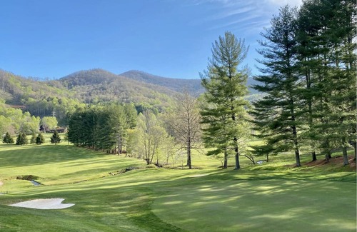 Canton House | Tree House 5 at Springdale: Resort Home with Golf and Pool Access!