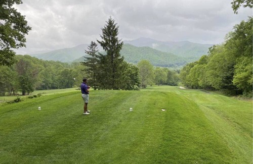 Canton House | Tree House 5 at Springdale: Resort Home with Golf and Pool Access!