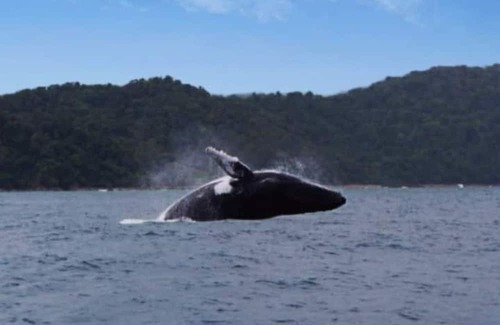 Choco House | Vrbo Property