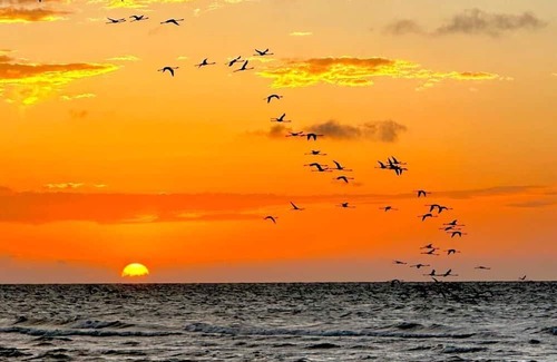 Sisal Apartment | Beachfront studio in Sisal