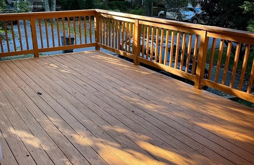 Annapolis Cottage | Idyllic Cottage Near Annapolis with Treehouse Vibes & Outdoor Charm