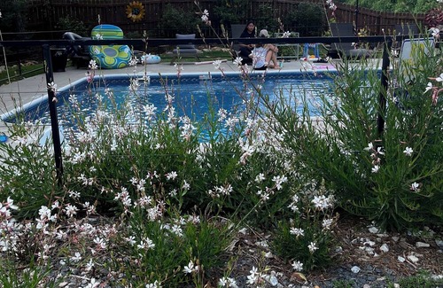 Garner Apartment | The Oasis! Close to downtown Raleigh & Coastal Credit Union at Walnut Creek