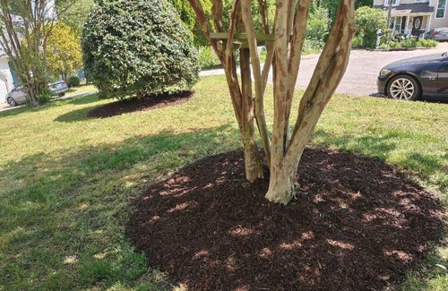 Apex House | Charming 2-bedroom house with WiFi and AC in delightful Cary