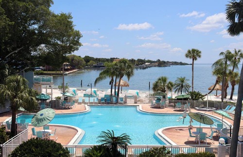 Pinellas Point House | Tropical Escape - 2 Units w/Ocean View, Marina Access & Downtown Attractions